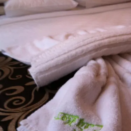 Bursa City Hotel Otel Bursa