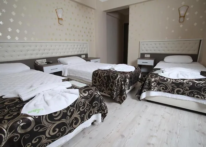 Ξενοδοχείο Bursa City Hotel